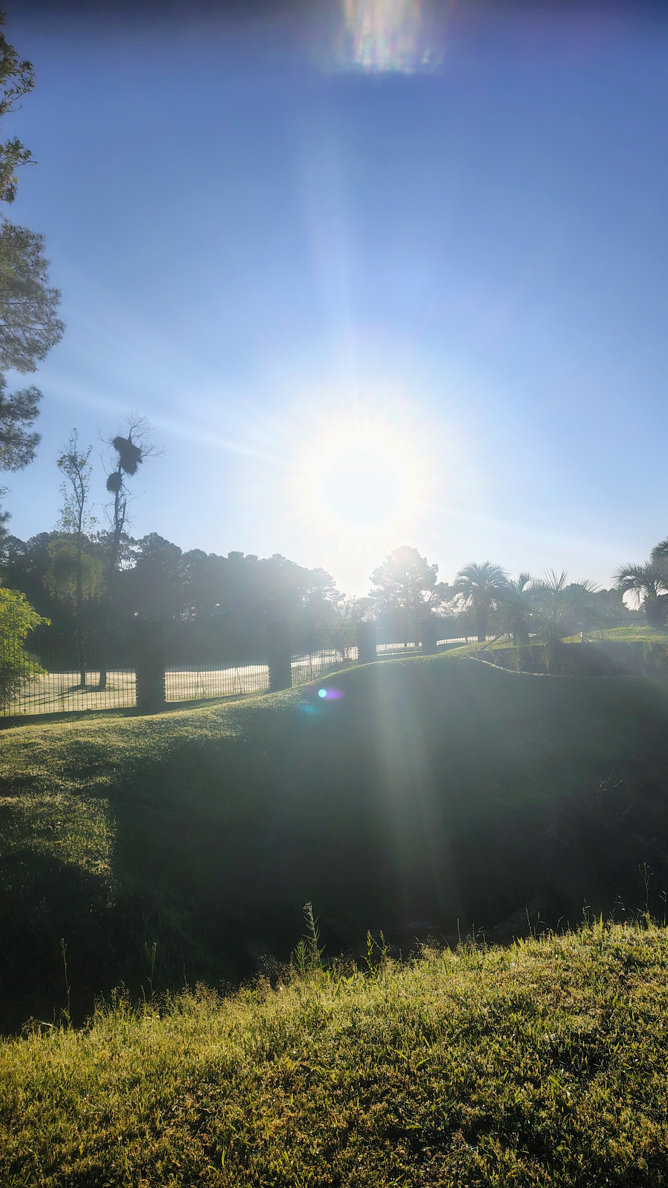 🌻 A Melhor Fase da Minha Vida: Um Manifesto de&nbsp;Amor-Próprio