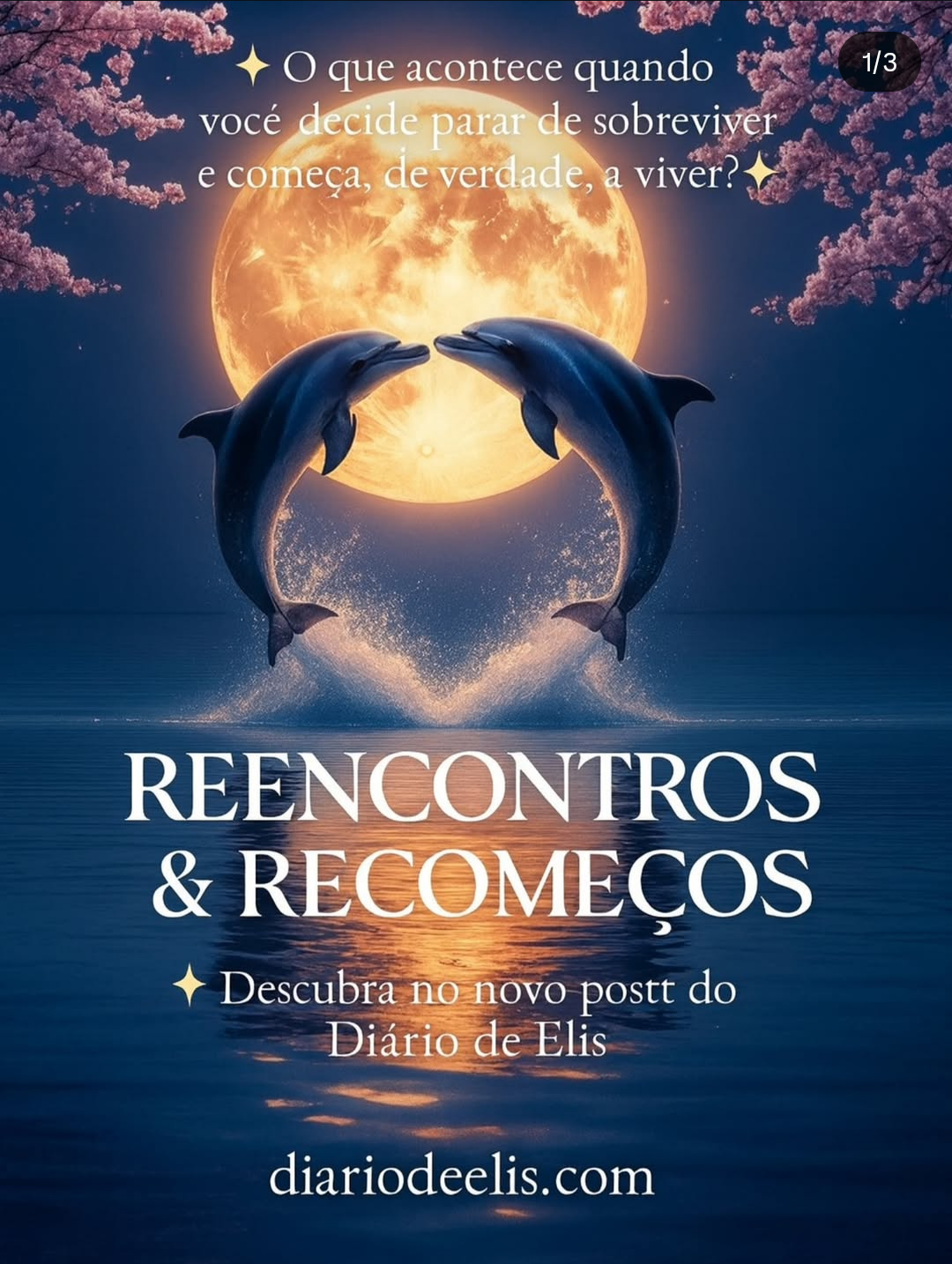 🌿 Reencontros e&nbsp;Recomeços