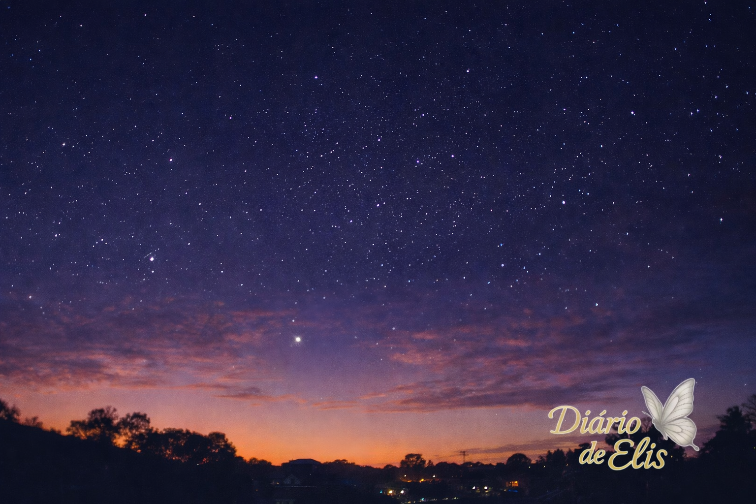 Quando a vida responde&nbsp;🦋✨